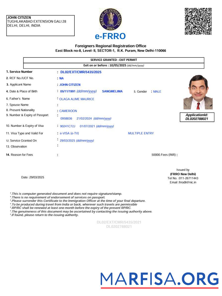 Blank India e visa template in Word and Pdf formats, version 3